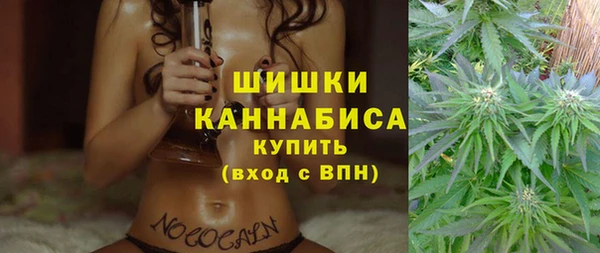 дживик Аркадак